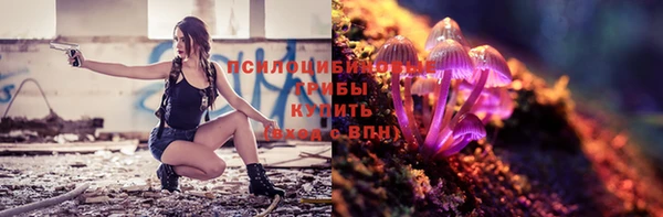 ECSTASY Богданович