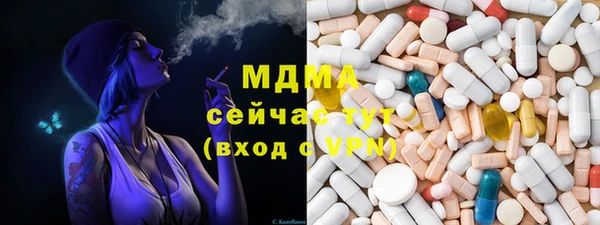 ECSTASY Богданович