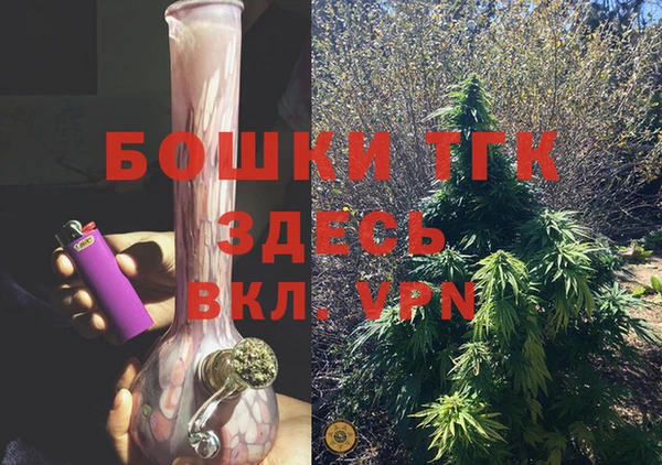 ECSTASY Богданович