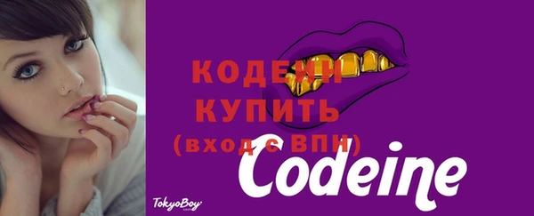 скорость Богородицк