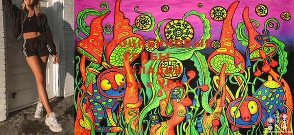 ECSTASY Богданович