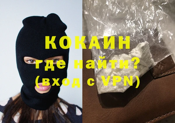 ECSTASY Богданович