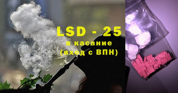 ECSTASY Богданович