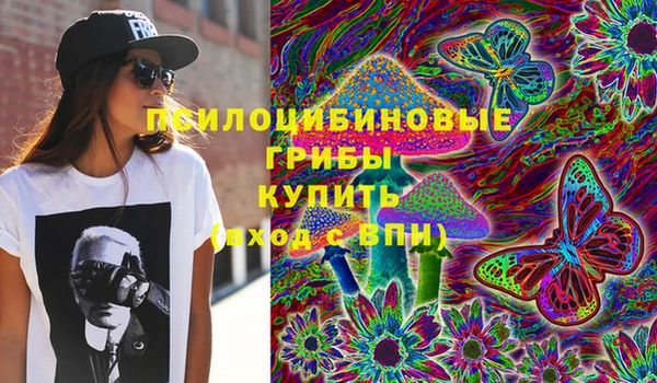 ECSTASY Богданович