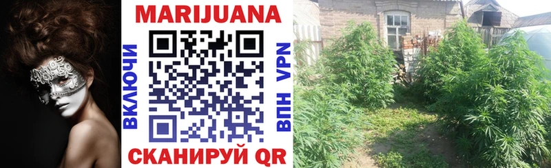 Конопля OG Kush  как найти   Щёкино 